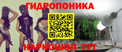 скорость Долгопрудный