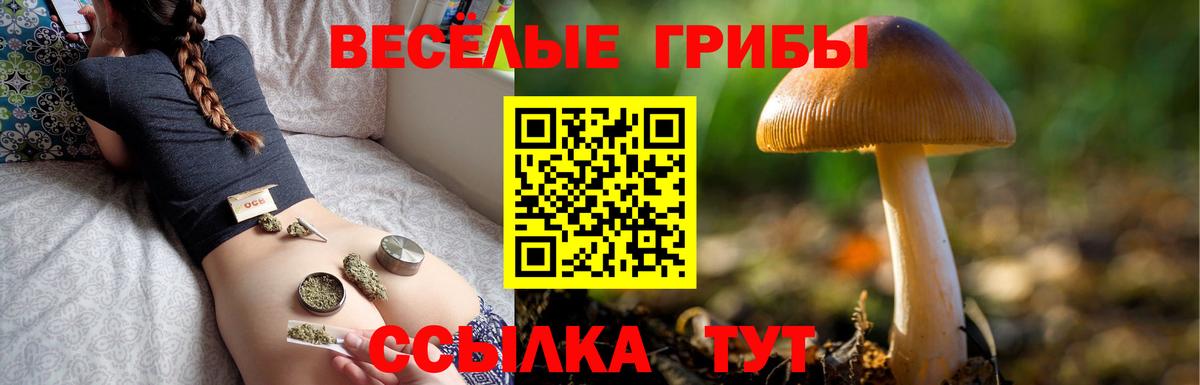 Петровск  Галлюциногенные грибы GOLDEN TEACHER  Вход с VPN 